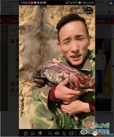 漂泊超哥爆料视频,带你一探究竟