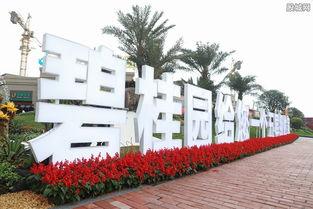 碧桂园最新爆料消息,揭秘企业转型与未来发展规划” 第2张 碧桂园最新爆料消息,揭秘企业转型与未来发展规划” 第2张